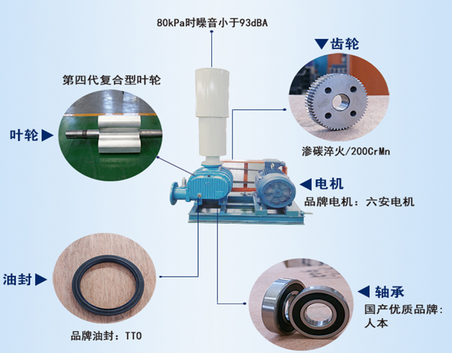 羅茨風(fēng)機廠家風(fēng)機結(jié)構(gòu)